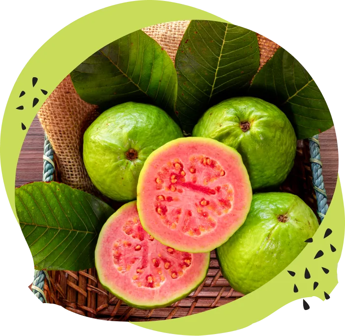 Guava